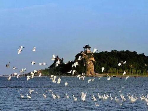 北戴河爆料博主视频,博主带你领略海滨风情与独家爆料 第1张 北戴河爆料博主视频,博主带你领略海滨风情与独家爆料 第1张